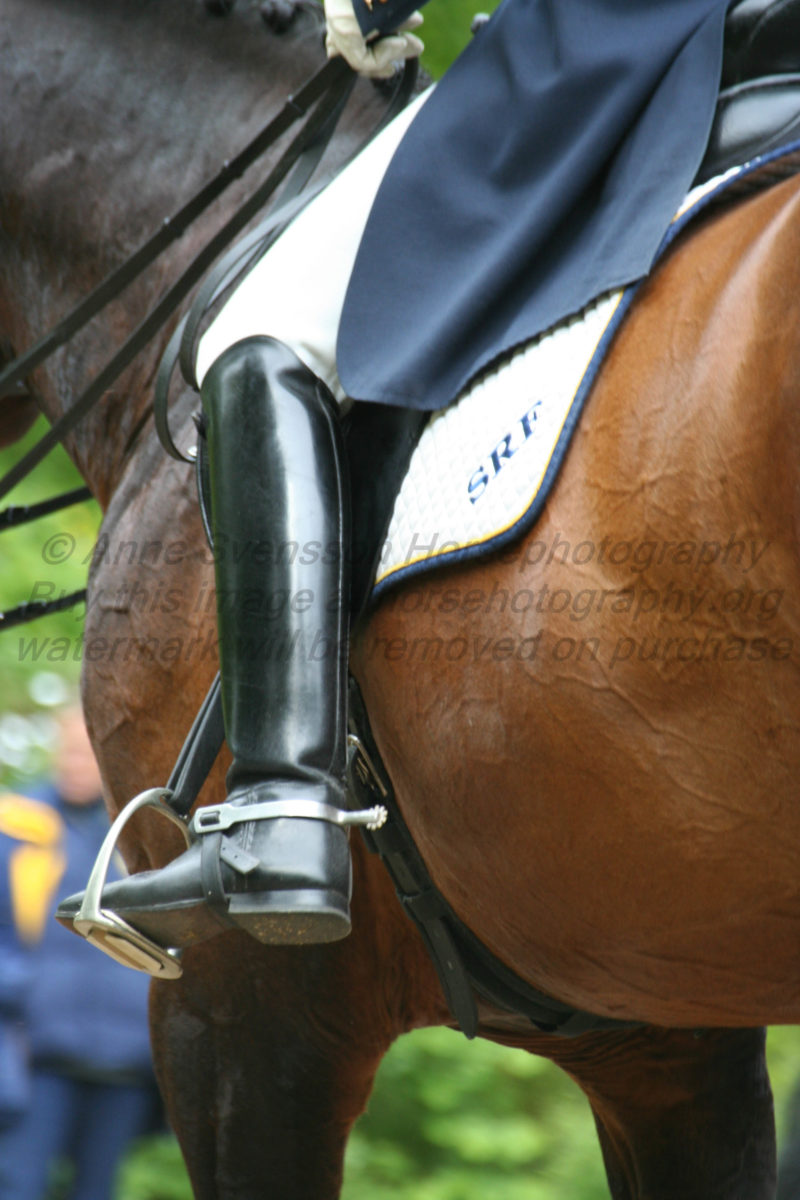 A dressage equipage at a competition